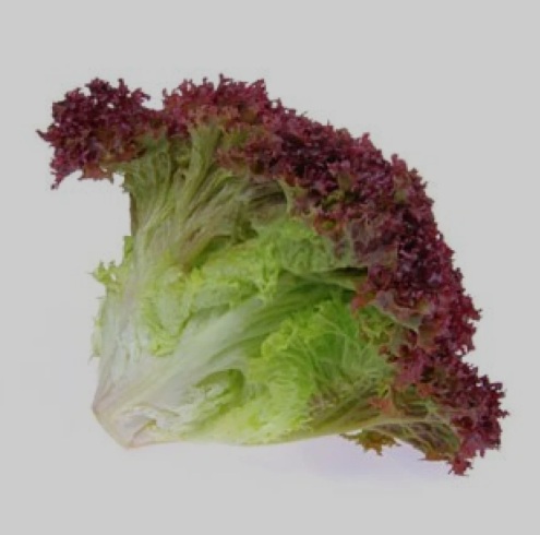 Lettuce Lollo Rosso Import